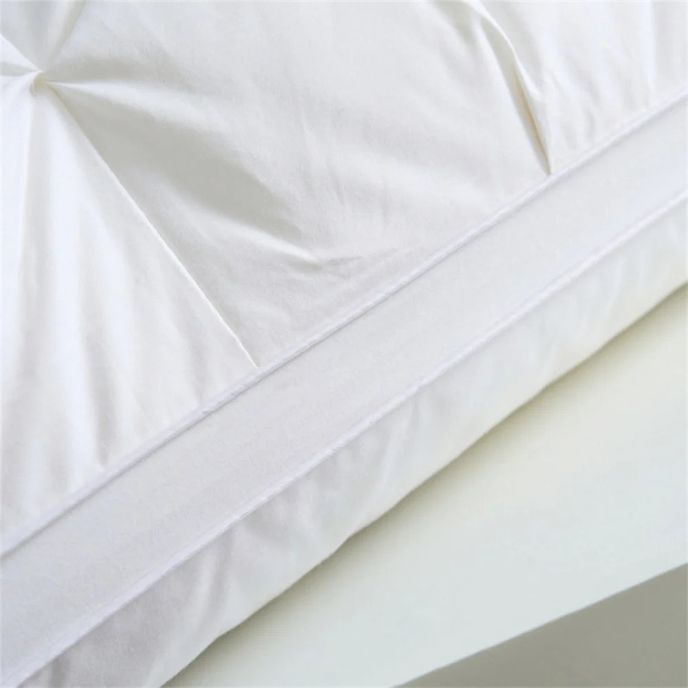Liv-Esthete 2024 Winter 100% Goose Down Pillow Warm Gift Down-proof Queen King 100% Cotton Neck Protection Sleep Bed Pillows